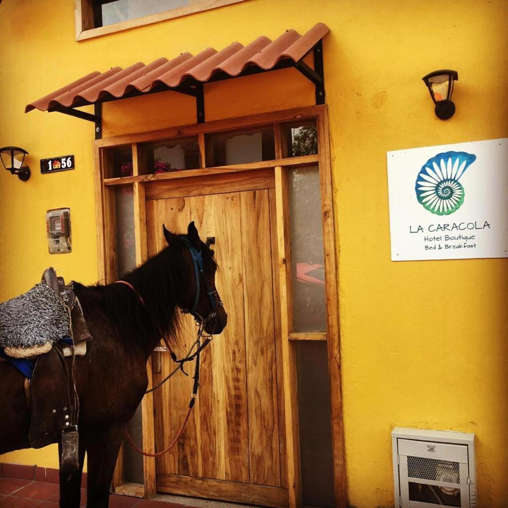 Hotel La Caracola Саленто Екстериор снимка